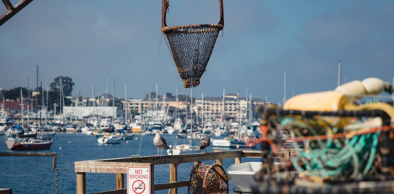 parc-ostreicole-incendie parc-ostreicole-incendie